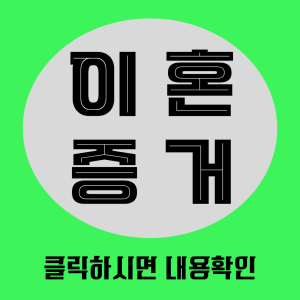 이혼증거